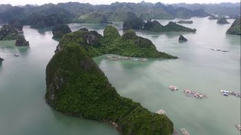 (Phòng đôi) 2N1Đ Du thuyền Indochina Sails Vịnh Hạ Long